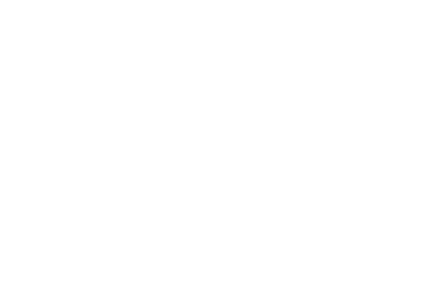 SI-logo-intro